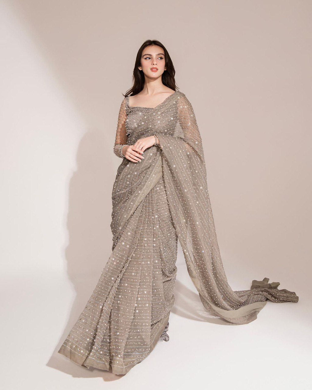 Gray Crystal Saree