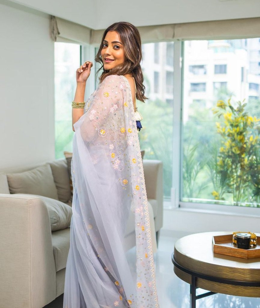 Grey Organza Silk Hand Cut Work Saree