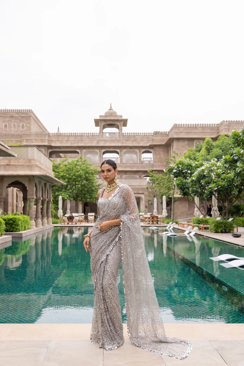 BUTTERY FLY HEAVY NET WITH SEQUANCE WORK SAREE