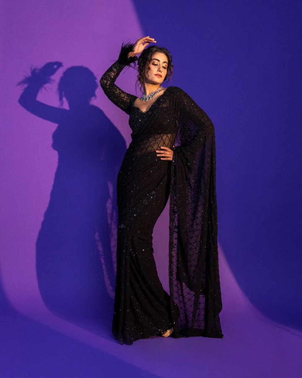 Beautiful sequins Saree Embroidery C Pallu Work with Cutwork in border
