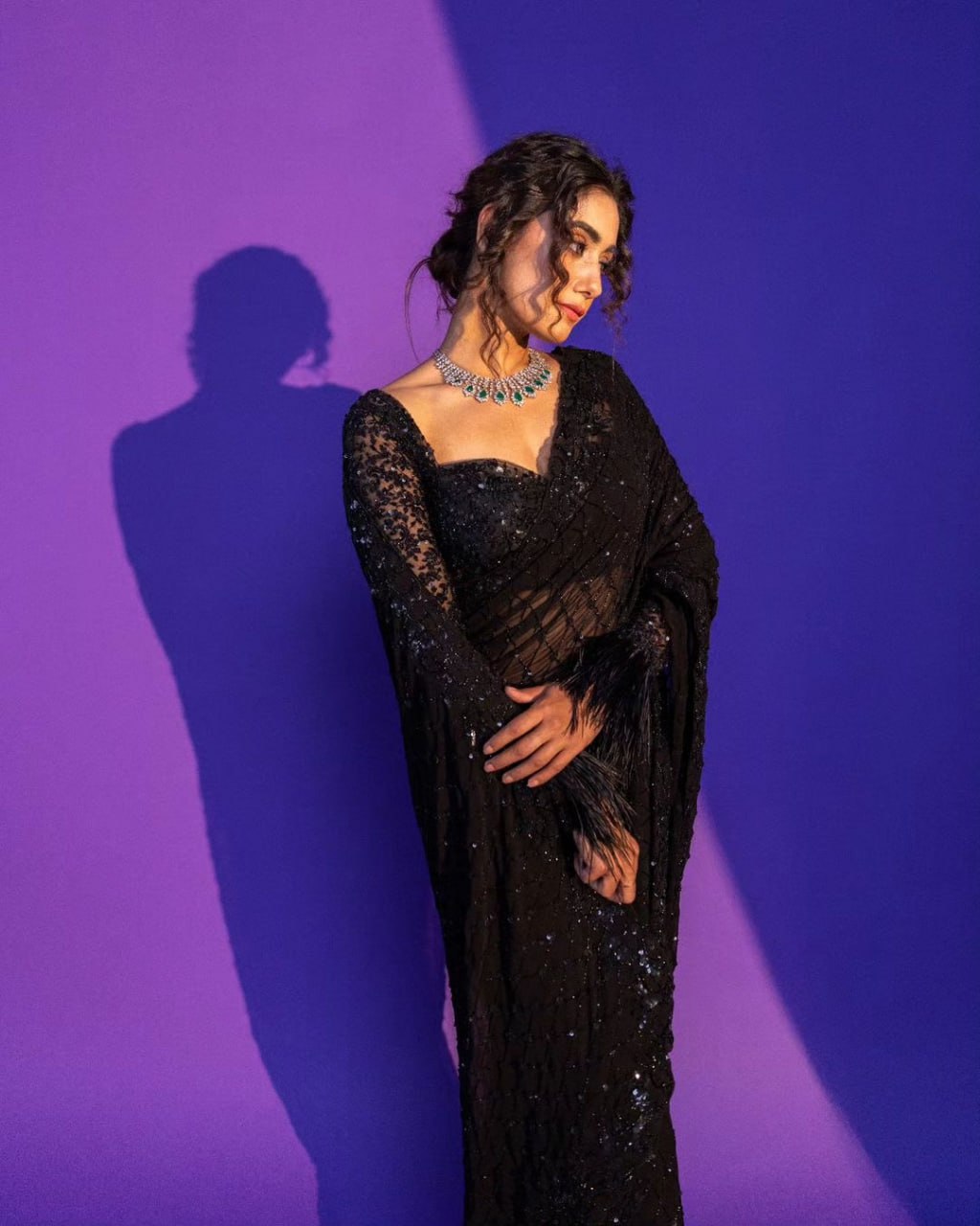 Beautiful sequins Saree Embroidery C Pallu Work with Cutwork in border