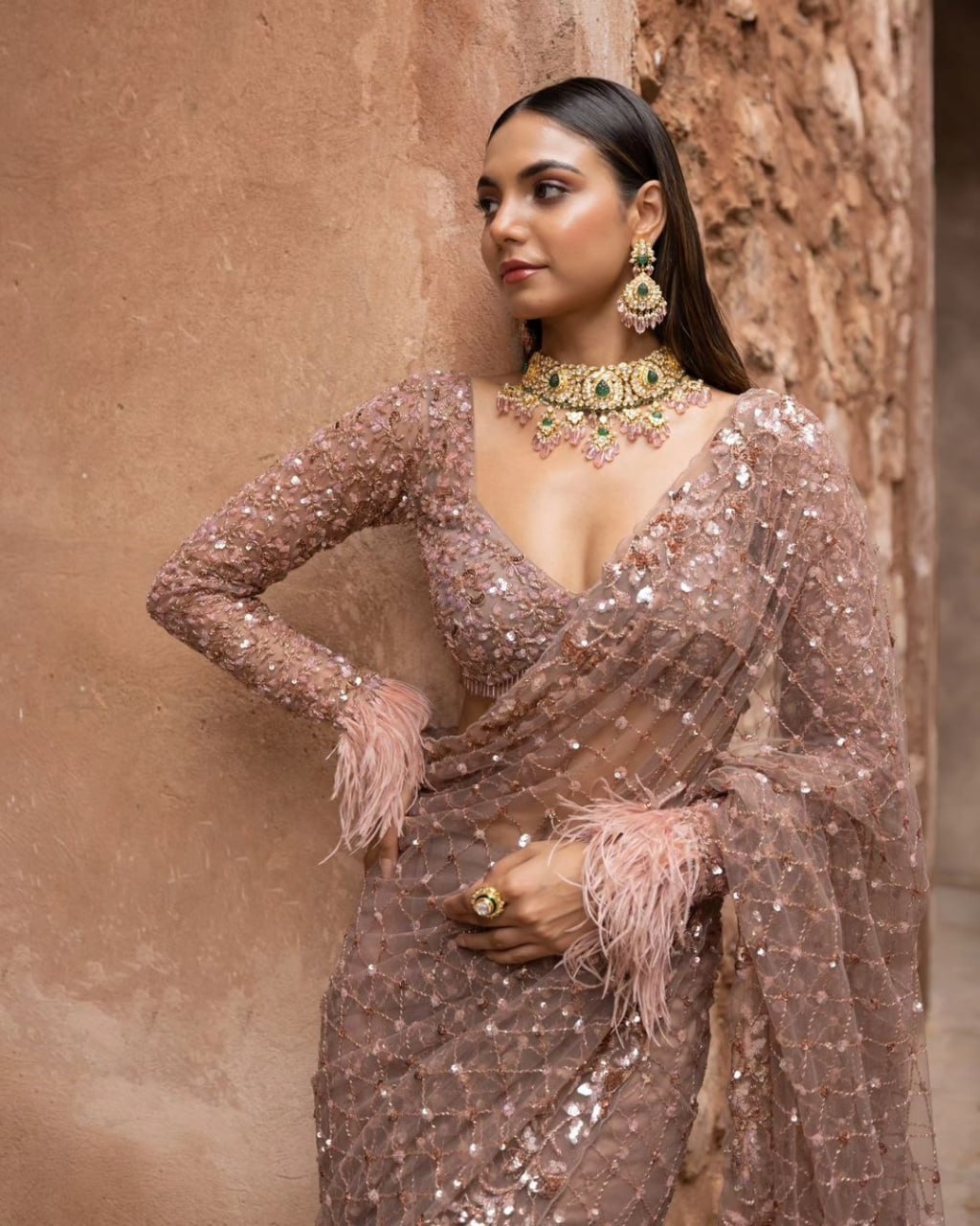Beautiful sequins Saree Embroidery C Pallu Work with Cutwork in border